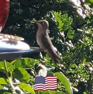 Meet your Posher, Monica